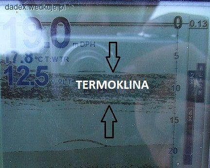 TEMPERATURA WODY