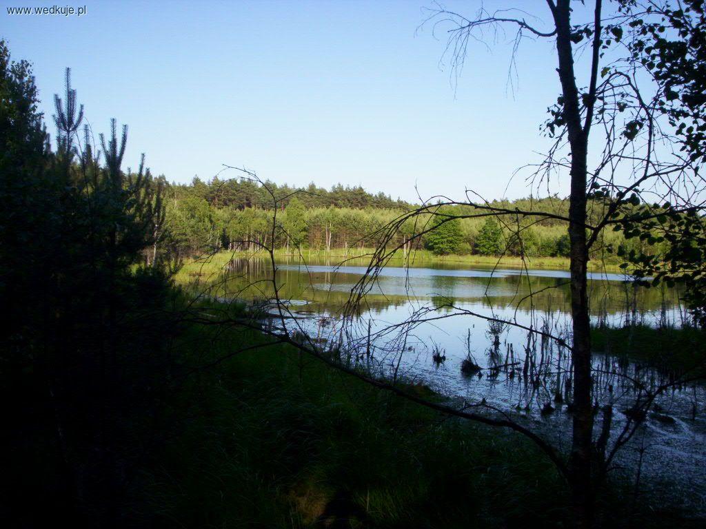 Jezioro Jaszczerz