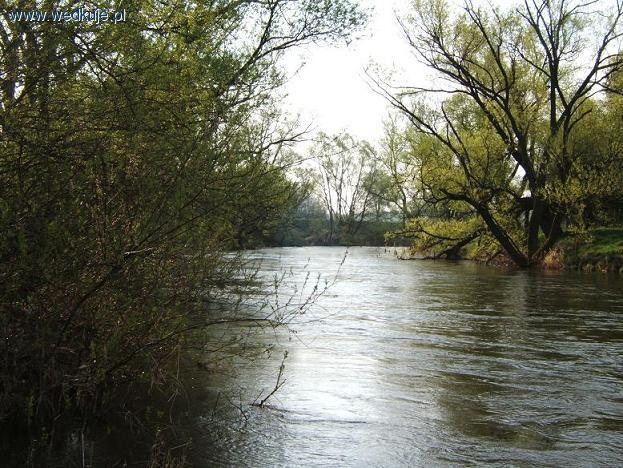 Rzeka Bóbr
