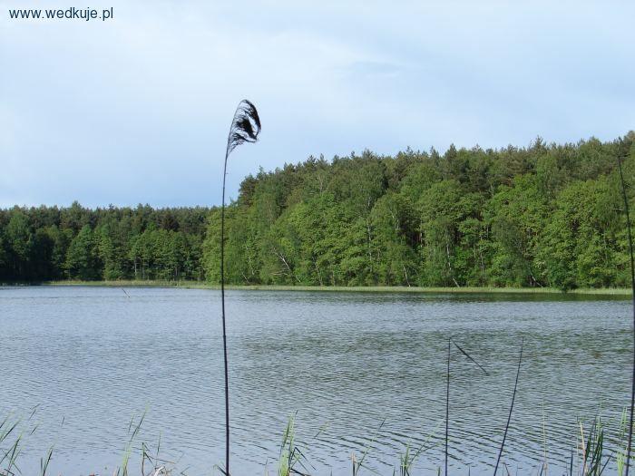 Jezioro Siekierki