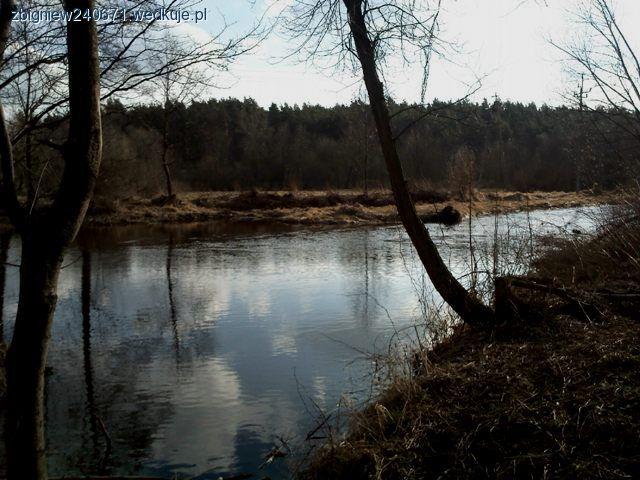 Zamiast obiadu nad wodę na ryby