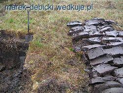 Torfowisko