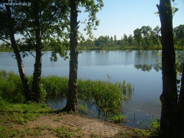 Łowisko u Roberta