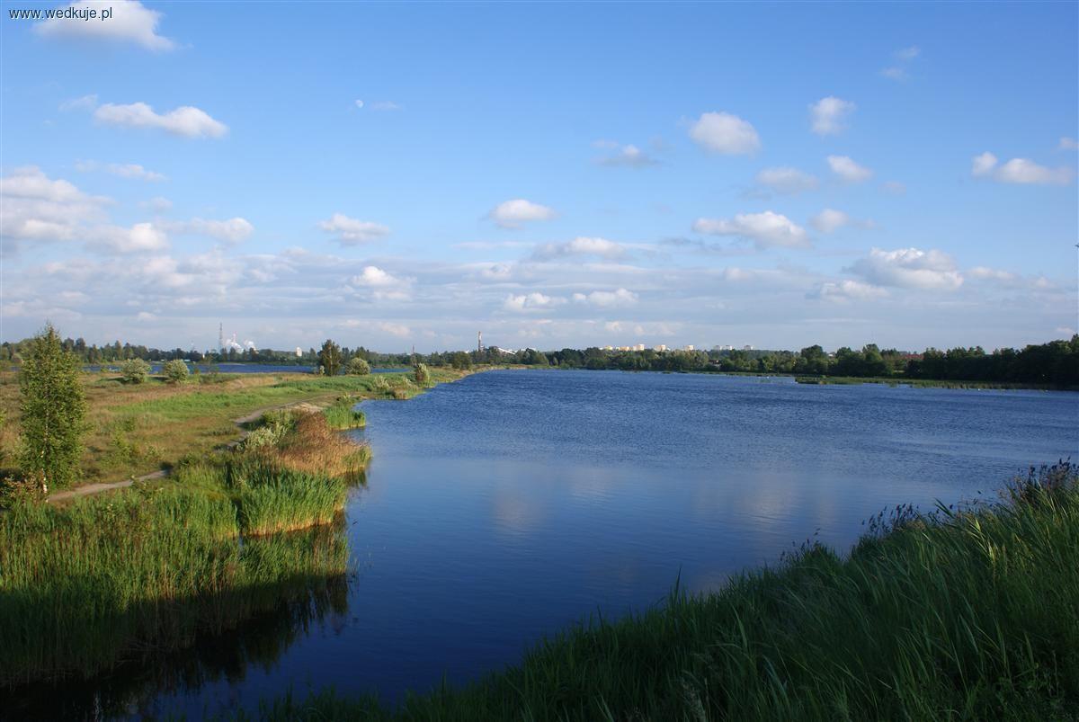 Staw Morawa - Katowice