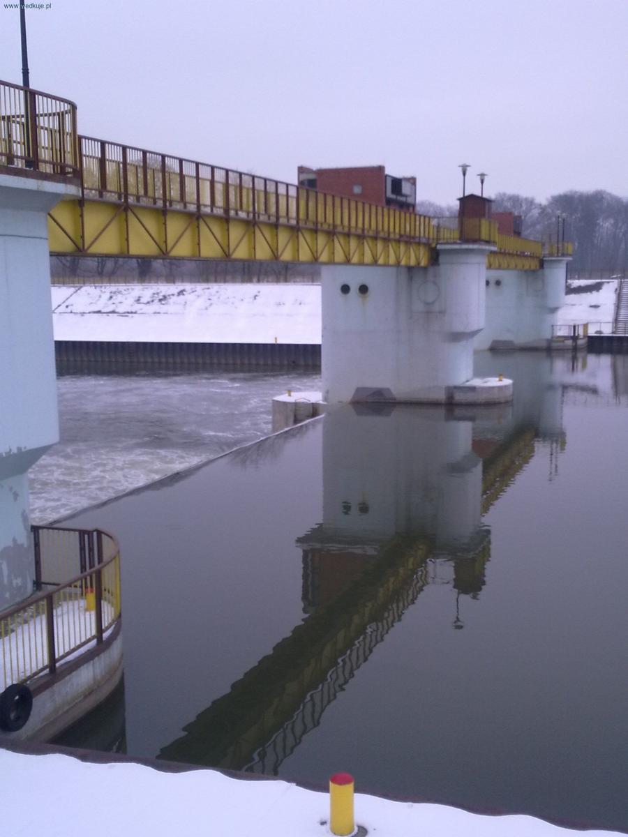 Rzeka Odra wyspa-Kożle