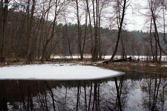Jezior Trzebuń