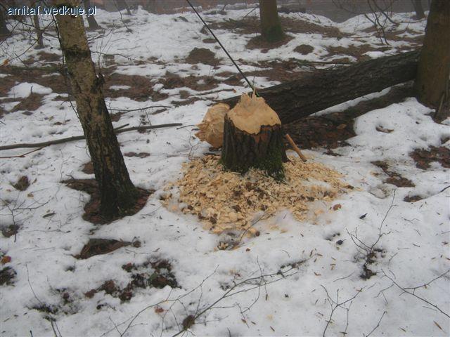 Trzykrotne otwarcie sezonu 2011