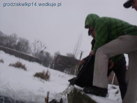 Zarybianie stawów w Grodzisku Wlkp. i na Piaskach.