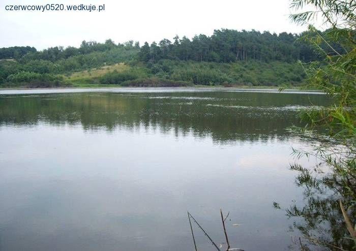 Wiosenna odległościówka