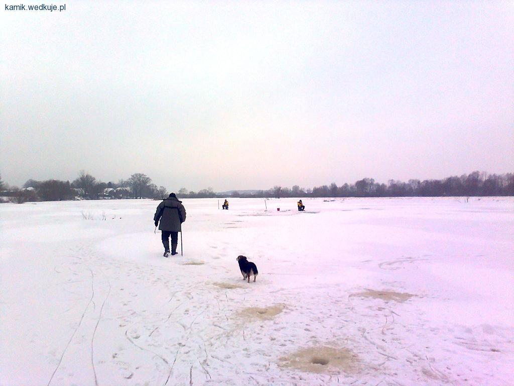 Pierwsze lody za płoty