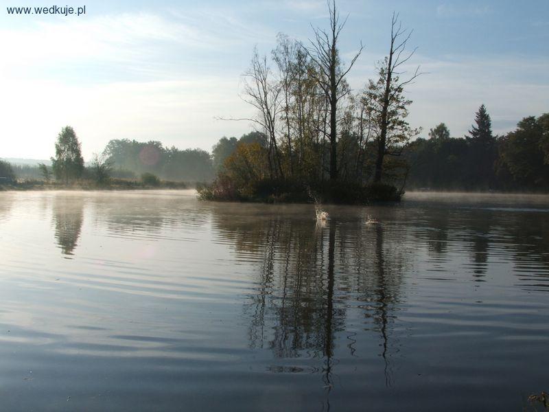 Uniegoszcz-staw nr 1 