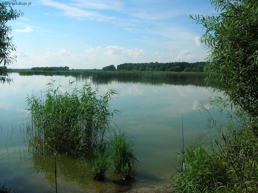 Witulin