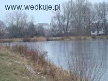 Kozioł