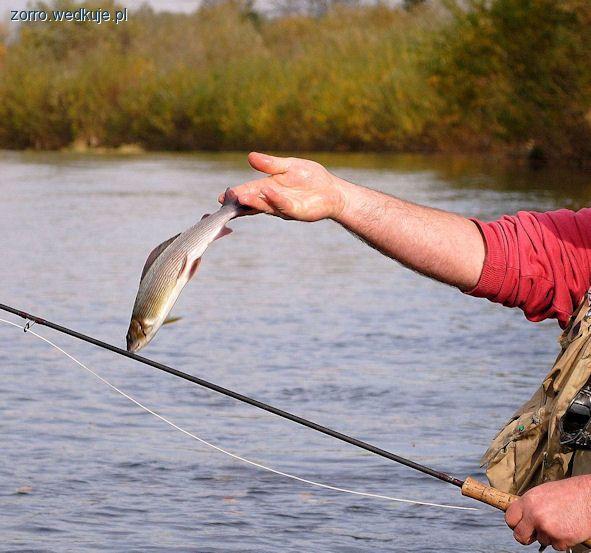 Fly fishing - początek przygody
