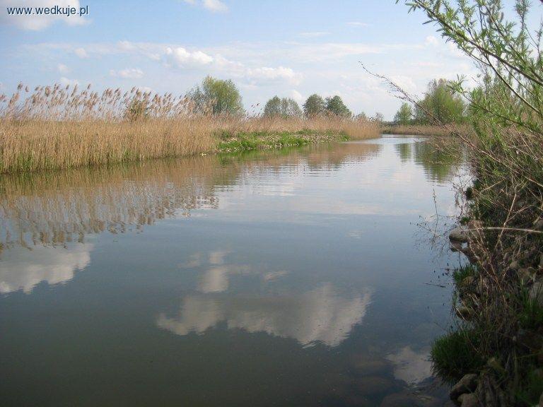 Rzeka Gąsawka