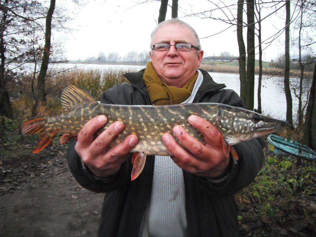 Zawody spinningowe - jezioro Owieczkowo 07.11.10