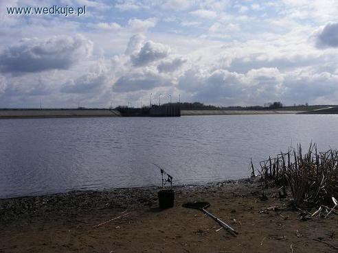  Domianów