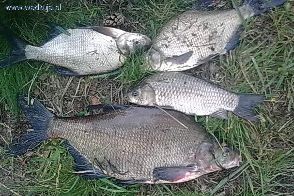 Piaski Szczygliczka duży zbiornik