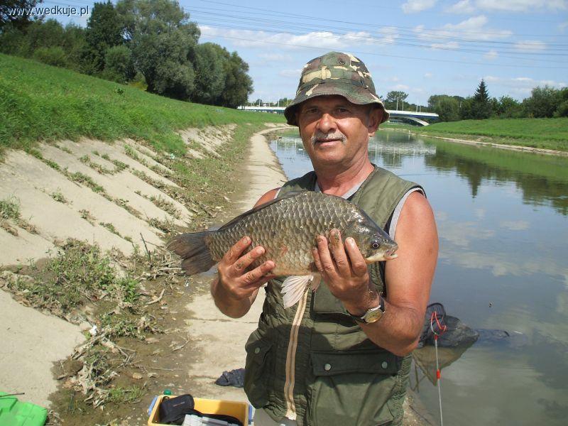 Rzeka Wisłok w Rzeszowie