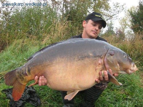 Rekordowy jesienny karp -  21kg Jarka Grabowskiego