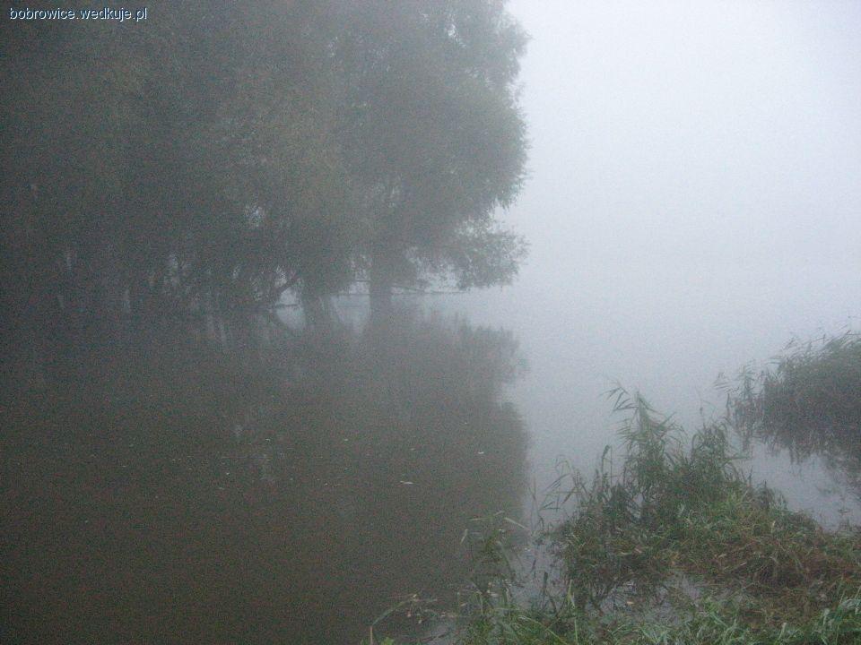 Odrzańskie kaczodziobe