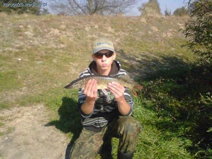 Pierwszy wymiarowy szczupak