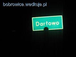 Kołowrotki morskie Jaxon - pierwsze w życiu dorsze