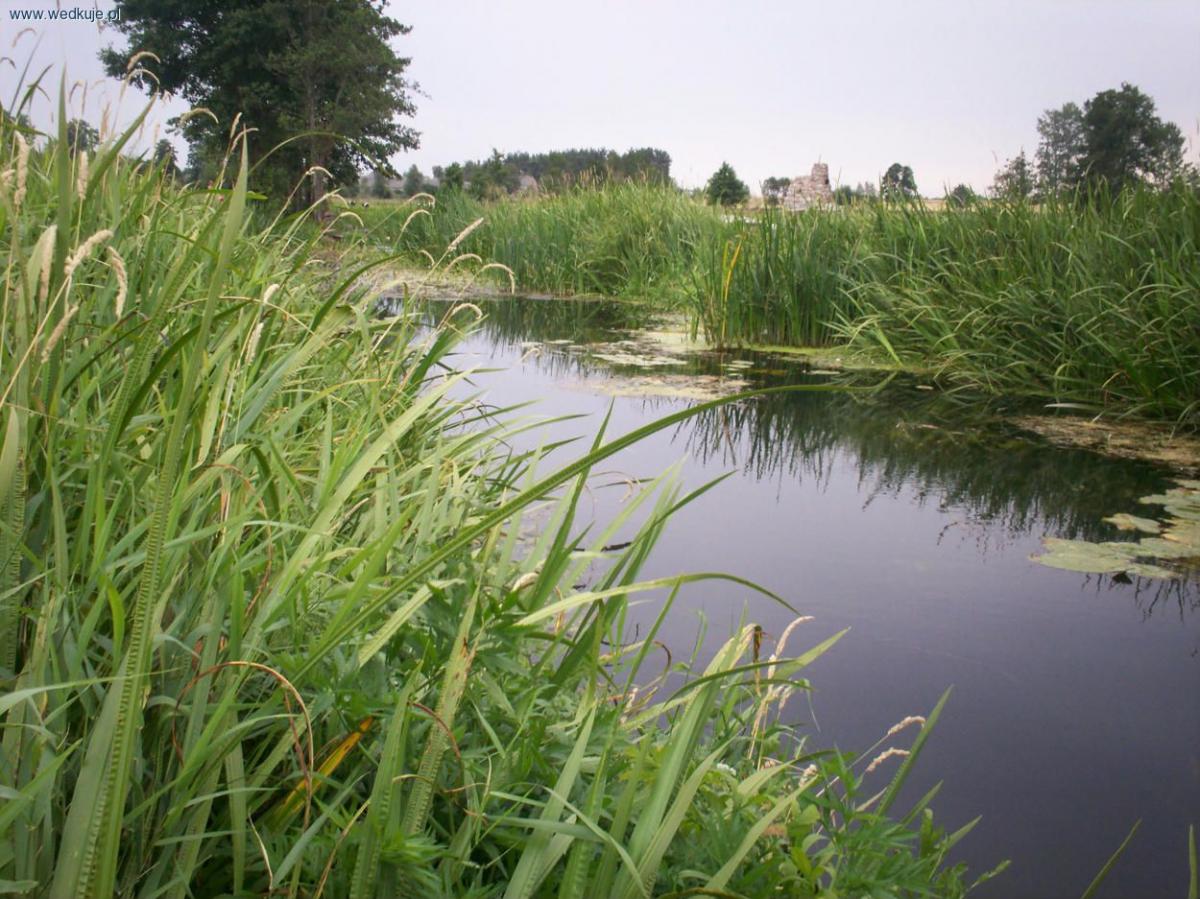 Wissa od Karwowa do wsi Łoje-Awissa