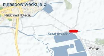 1:0 dla grzybiarzy - zawody wędkarskie na Kanale Bydgoskim