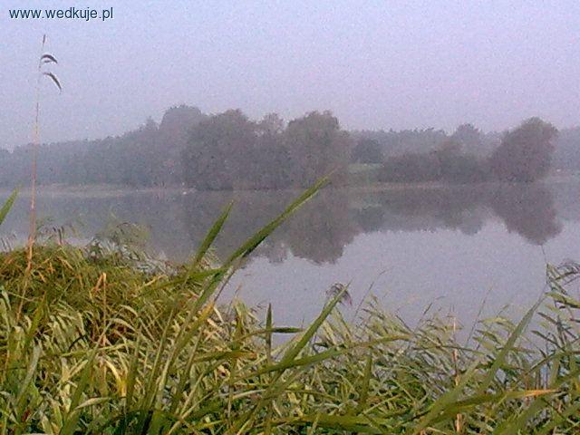 Piaski Szczygliczka (Ostrów Wlkp.)