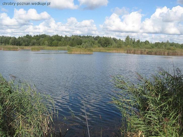Zawody spławikowo - gruntowe koła 168 Chrobry Poznań