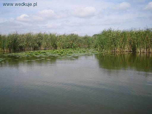 Jezioro Bytyń, Bytyńskie