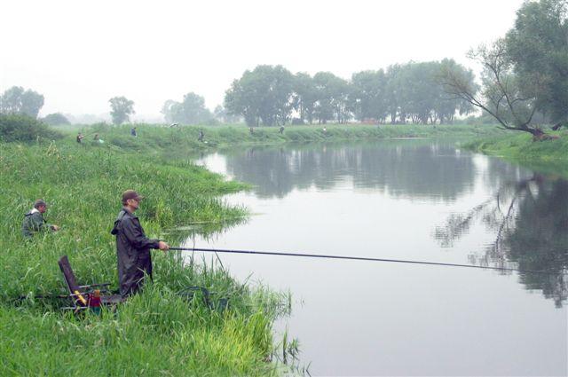 Zawody wędkarskie o Puchar Dyrektora Sanitec-Koło 24.07.10