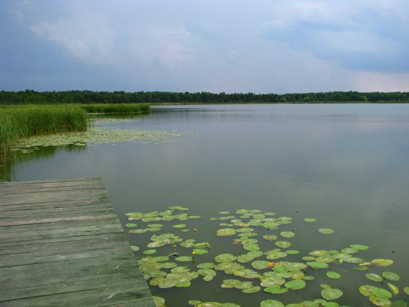 Jezioro Białe Sosnowickie ( Libiszowskie )