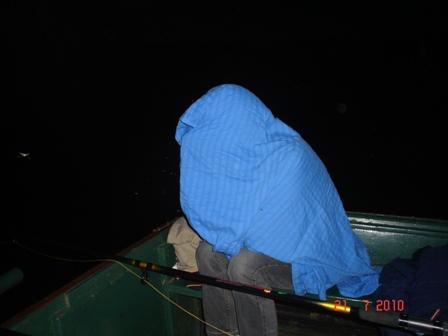 Nocny komar
