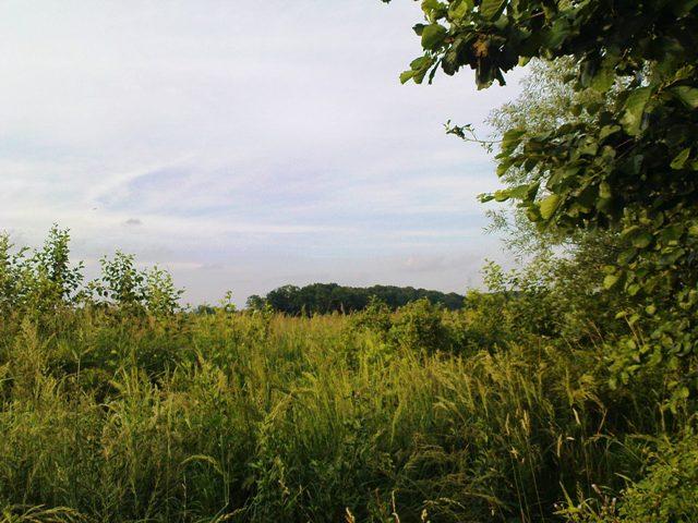 PSY III i 1/3 (część druga), czyli wyginam śmiało ciało