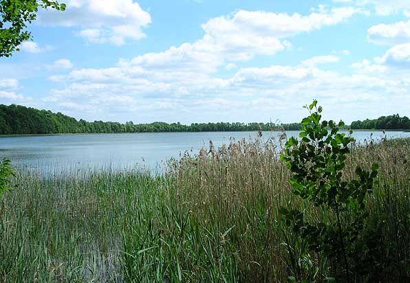 Jezioro Hołny - łowisko wędkarskie