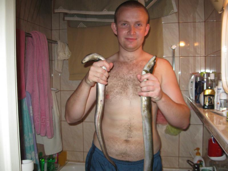 Węgorzowy pamiętnik