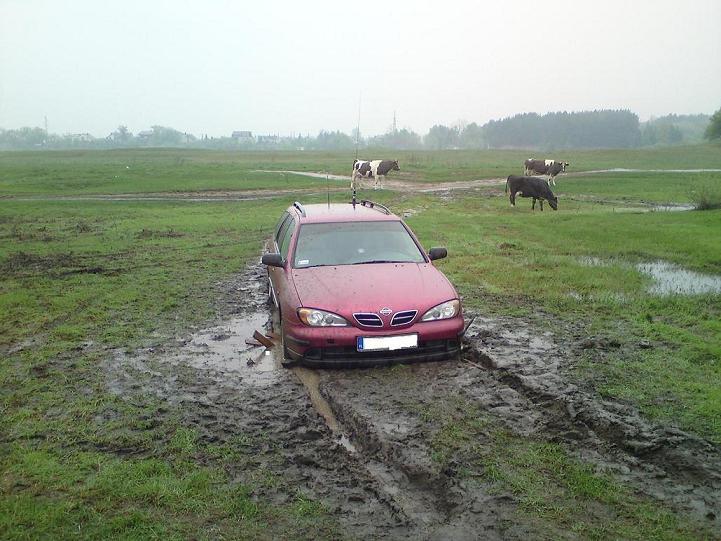 Przysłowiowe do trzech razy sztuka