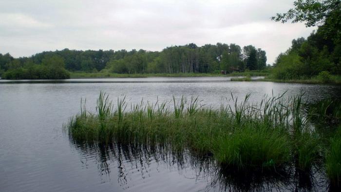 Staw Ładzyń