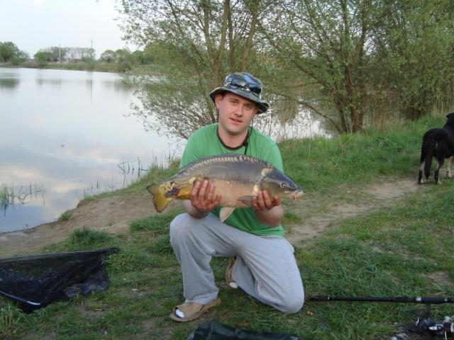 Majowa sześciodniówka
