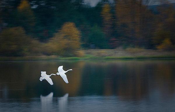 Zalew w Małogoszczu