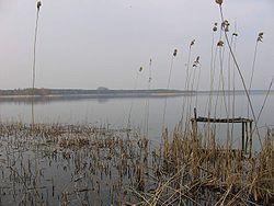 Jezioro Powidz