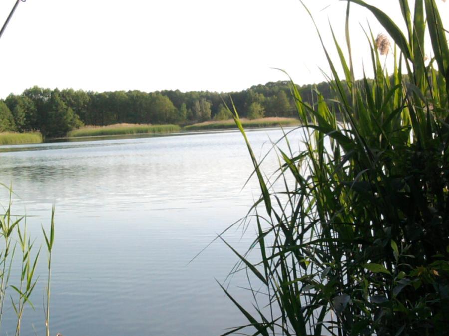 Wielobłota - Łąka