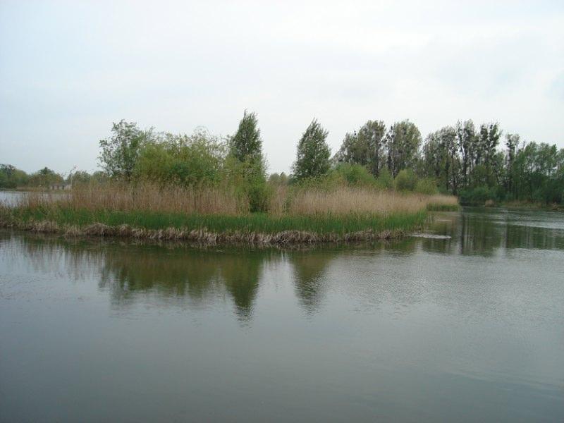 Puchar Burmistrza Strzelce Opolskie 2010 rozstrzygnięty