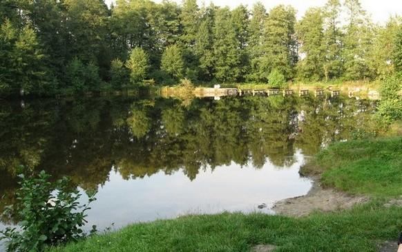 Staw Wroński