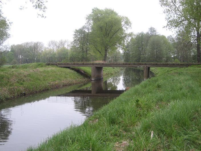 Zawody Mistrza Kola PZW we Wschowie Mochy 01.05.10.