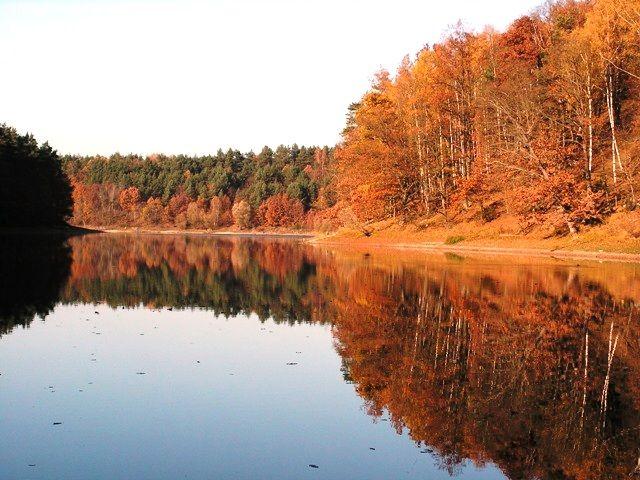 Jezioro Kopcze - wysychająca kałuża