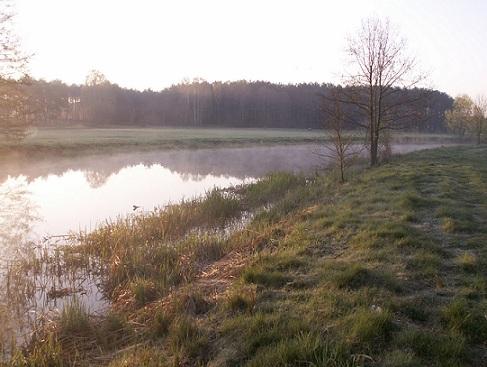 Pierwsze zawody w sezonie 2010- Koło PZW Nr 14 Grodzisk Wlkp.