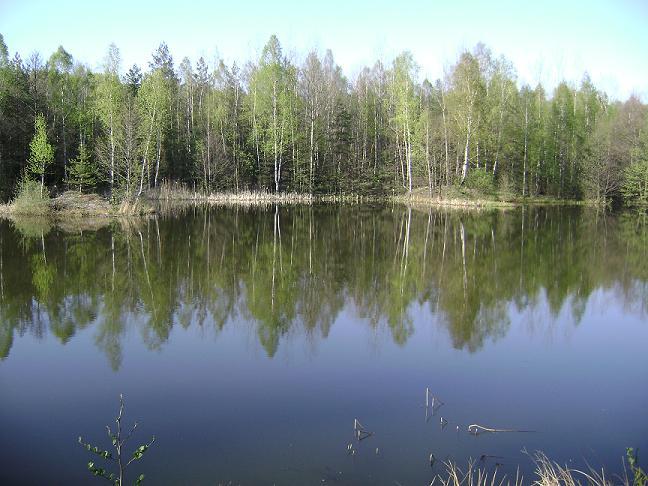 Ciągowice 